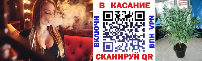 Где можно купить наркотики Медвежьегорск ГАШИШ  ГЕРОИН  Меф  Конопля  КОКАИН  СОЛЬ 