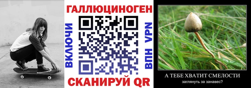 Галлюциногенные грибы GOLDEN TEACHER  наркотики  Медвежьегорск 